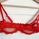 Frederick's of Hollywood  Lace Balconette Bra 36B Adjustable Straps Bow Accent Photo 1