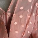 Michelle Mason NWT  Intermix Polka Dot Mini Dress, Blush Pink, size 8, Photo 10
