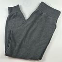 Balance Collection Gray Joggers Pockets Size M Photo 0