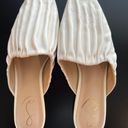 Sam Edelman Cream Mules Size 9 Photo 0