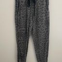 Sundry  Grey Leopard Print Sweatpants Photo 1