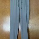 Zyia  Heathered Gray Ascend Joggers Size Small Photo 1