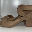 Penny Loves Kenny  Strappy Wrap Ankle Open Toe Heels Tan Microfiber Women’s 8 Photo 4