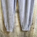 A New Day  Size XS Gray Ribbed Velour/Velvet Style Joggers with Front Poc… Photo 3