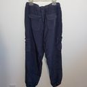 Thread and Supply Navy Blue Joggers  Photo 5