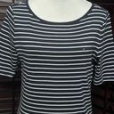 Tommy Hilfiger  T-Shirt Women's XL Blue Stripe Short Sleeve Scoop Neck Cotton Photo 1