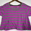 We The Free  People Pink Stripe Women’s Crop Top Size M Photo 0