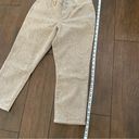 Talbots  Paisley Print Khaki Curvy Slim Crop Jeans size 2P Petite NWT Photo 6