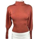 ZARA  Brown Balloon Sleeve Turtle Neck Ribbed Trim Knit Fitted Sweater Top Size L Photo 0