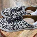 Jack Rogers  Women's Rory Sneaker Lace-Up Round Toe Black/White‎ Dots Size 8M Photo 4