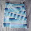 J. McLaughlin  striped skirt Photo 4