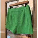 Flying Tomato Size Medium Green NWT Shorts Photo 2