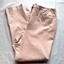 Ellen Tracy Light Mauve Beige Cotton Blend Flat Front Ankle Pants Size 12 Photo 1