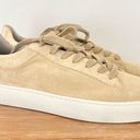 ALLSAINTS NWT  Shana Low Top Chunky Sole Suede Sneakers Oak Beige Women's US 11 Photo 2