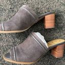 Jack Rogers campbell suede mule Photo 4