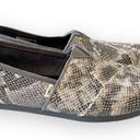 Toms  Reptile Snake Print Classic Flats Women’s Size 9 Gray One for One Neutrals Photo 0