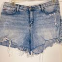 Hudson Jeans Shorts Photo 0