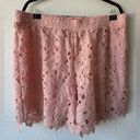 Lane Bryant  Pink Lace shorts, size 18/20 Photo 3