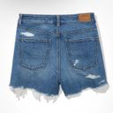 American Eagle Outfitters High Rise Mom Shorts Photo 10