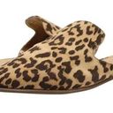 Banana Republic  Factory Cheetah Slide Mules Photo 0