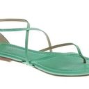 J.Crew  Audra Leather Sandals Strappy Mint Flats Photo 0