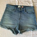 Guess Denim Shorts Photo 0