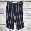 Lane Bryant  NWT 20 Blue Stripe Linen Blend High Rise Laney Wide Leg Crop Pants Photo 0