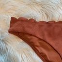 Topshop  Scallop Bikini Bottom Burnt Orange Textured Photo 3