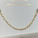 Madewell New Delicate Collection Demi-Fine Paperclip Chain Photo 2