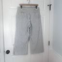 Madewell Emmett Wide Leg Crop Blue & White Striped Button Fly Pants Size 31 Photo 5