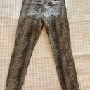 Dear John  Leopard print Giselle size 29 pants. Perfect for Fall Photo 2