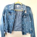 Cello Jean Jacket size L Photo 0