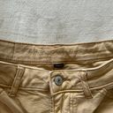 American Eagle Outfitters Shorts Photo 1