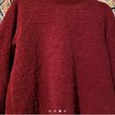 Northern Reflections vintage mock neck sweater Photo 1