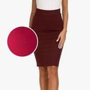 Brat Star  Skirt womens small pencil red bodycon stretchy business elastic waist Photo 0