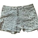 KanCan women's XL denim shorts gray leopard cheetah print grey jean cute 31 Photo 0