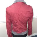 Free People Burgundy Bomber Jacket Size 6 Photo 4