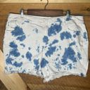 Lane Bryant 16 Women’s Jean Shorts Tie Dye Blue White Photo 0