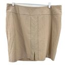 Lane Bryant  20 plus pinstripe neutral mini skirt tan black office casual Photo 0