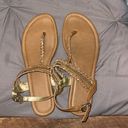 American Eagle  sandals Photo 0