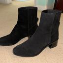 DV by Dolce Vit Dolce vita black booties  Photo 7