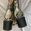 Blondo  Waterproof Elvina Snakeskin Cream Black Ankle Boots Size 8 NWOT Photo 8