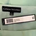 Catherine Malandrino  Mint Green Side Zip A-Line Pencil Skirt Size 4 New Photo 5