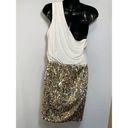 City Triangles  One Shoulder Sequin Dress Photo 3