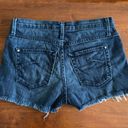 James Jeans Blue Denim Shorts, hunter, cut off, size 29, jeans shorts. Photo 1