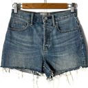 Everlane  Cheeky Blue Denim Shorts Button Closure Photo 0