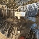 Thread and Supply Grey Faded Jean Shorts Photo 2