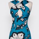 Kimberly  Goldson. Chrissi peppermint floral sheath dress. Photo 3