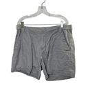 Mountain Hardwear  Lightweight Light Gray Shorts Women's Size 14 Photo 0