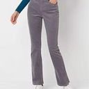 St. John’s Bay NWT  Secretly Slender Gray Corduroy Pants Photo 0